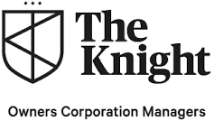 The-Knight OC